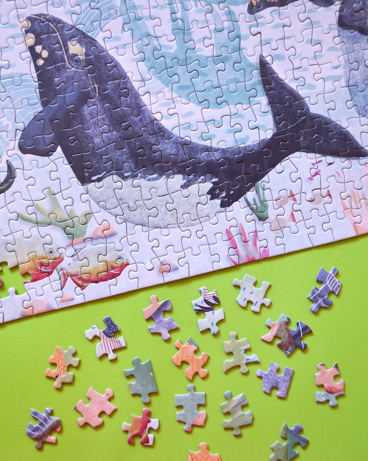 Puzzle Animales Sudamericanos